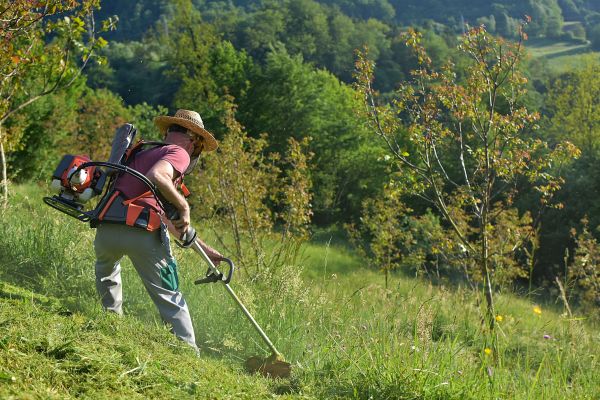 Cost of Slope Trimming in Wasilla